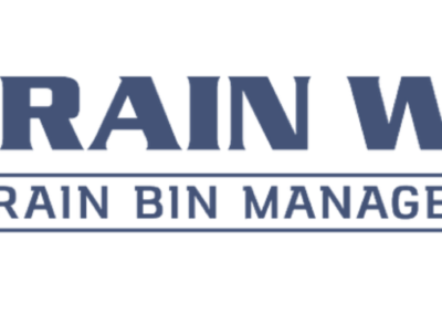 Grain Weevil